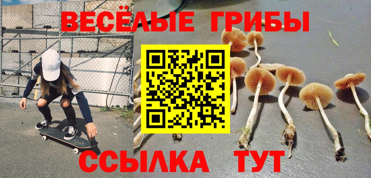 Хабаровск  Псилоцибиновые грибы мицелий  Вход с VPN 