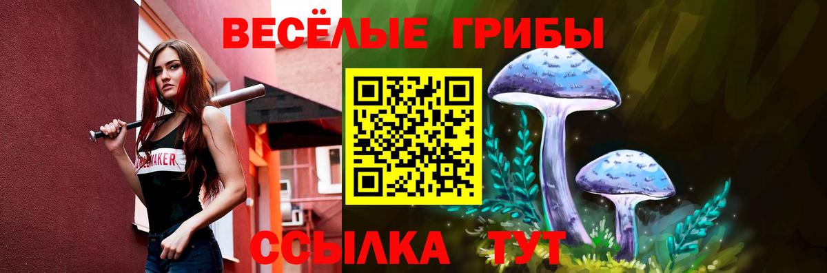Псилоцибиновые грибы Magic Shrooms Хабаровск